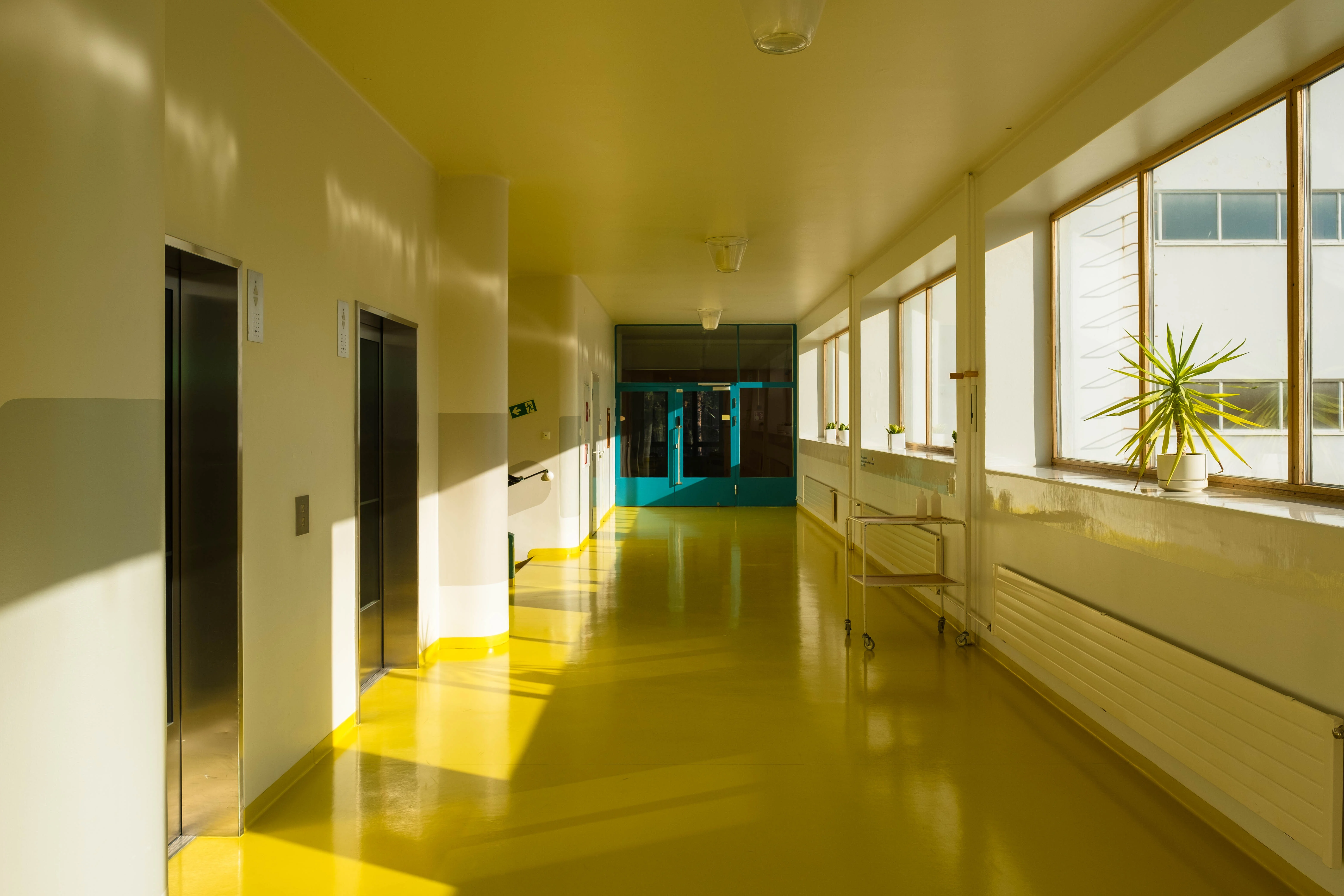 Photography Portfolio