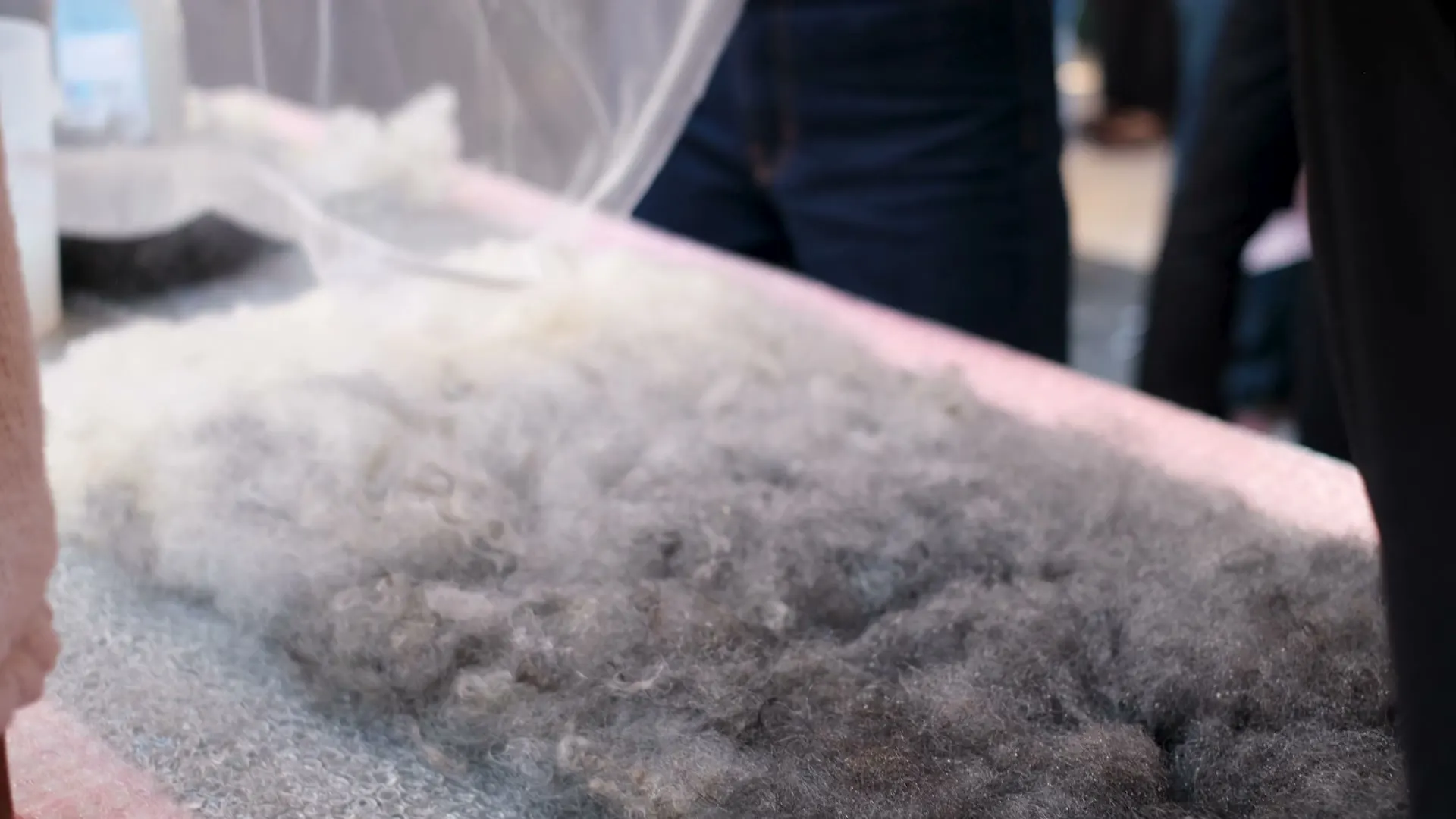 Raw wool laid out on the felting table